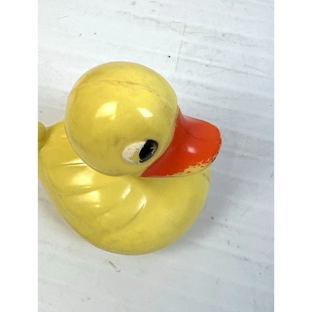 Vintage duck fish